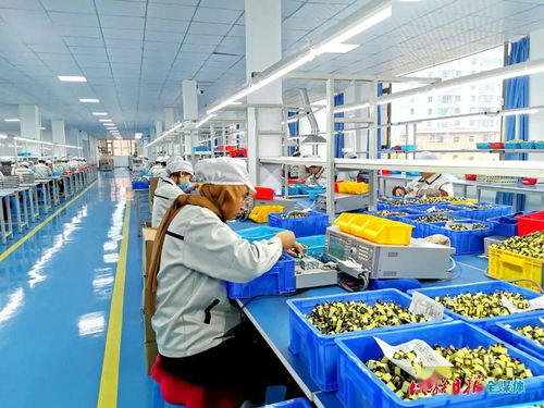 康樂縣電子產業迎新篇 科司特個人護理電器生產步入正軌